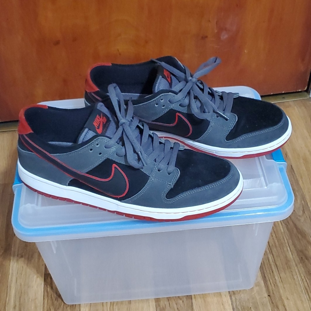 Nike SB size 13